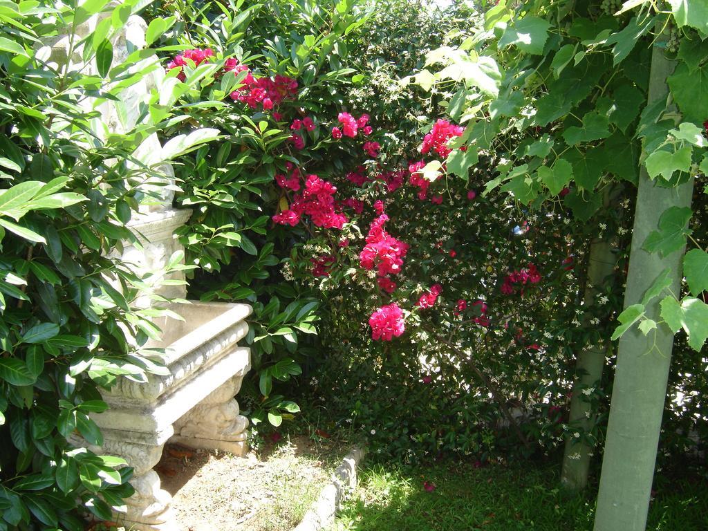 B&B Villa Fantasia Gaeta Exterior photo